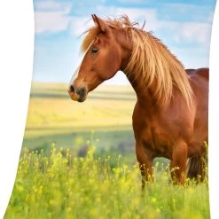 Herding Kuscheldecke Pferde, 130 X 160 Cm