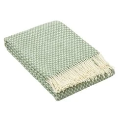 Lanzaretti Plaid In Grün