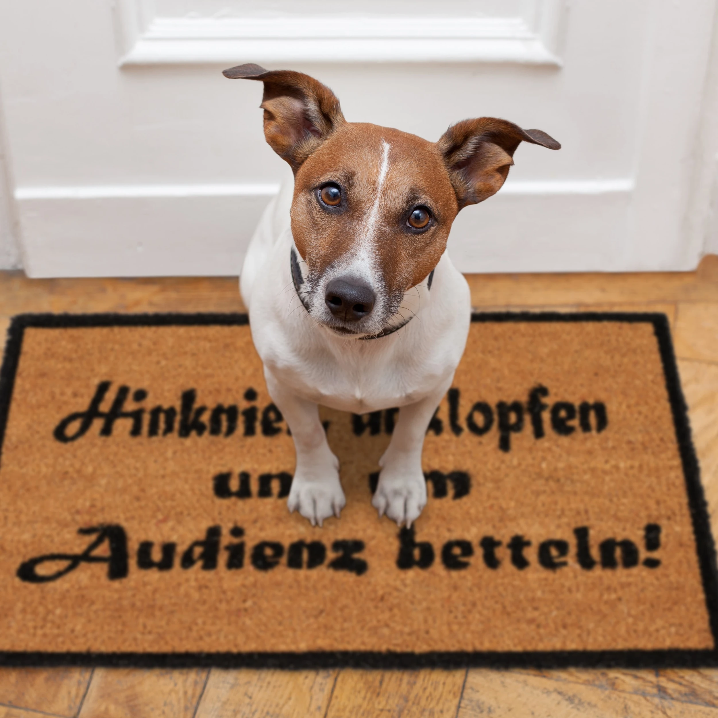 Relaxdays Fußmatte Audienz In Natur/Schwarz - 40 X 60 Cm – Bild 5