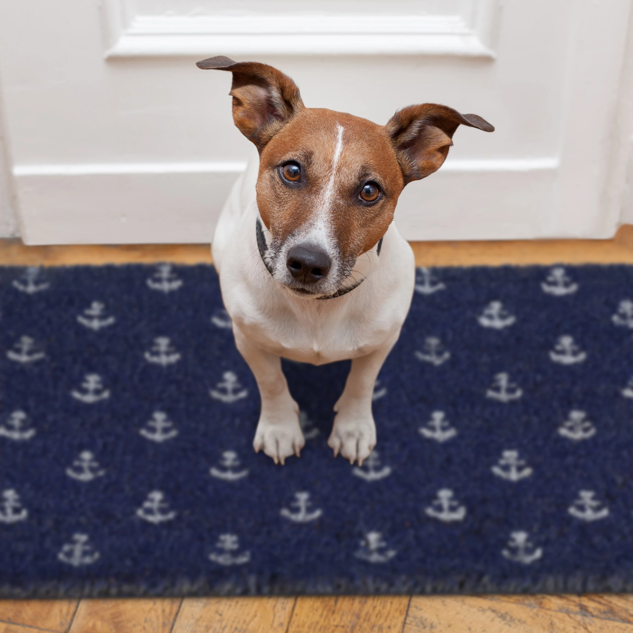 Relaxdays Kokosfußmatte "Anker" In Blau/ Weiß - 40 X 60 Cm – Bild 3