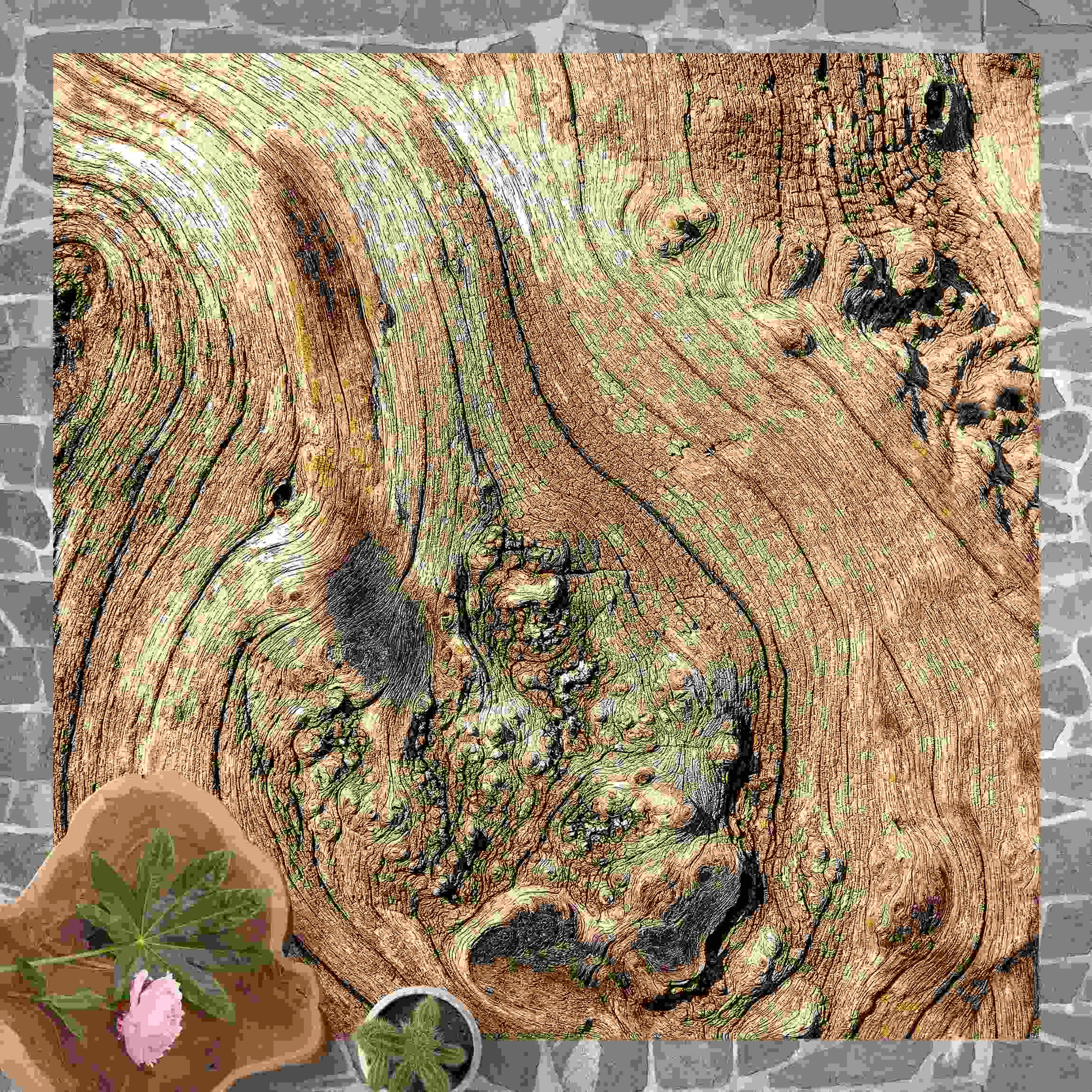 WallArt Vinyl-Teppich - Alte Holzstruktur In Braun – Bild 3