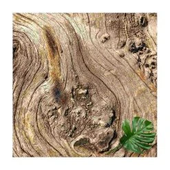 WallArt Vinyl-Teppich - Alte Holzstruktur In Braun