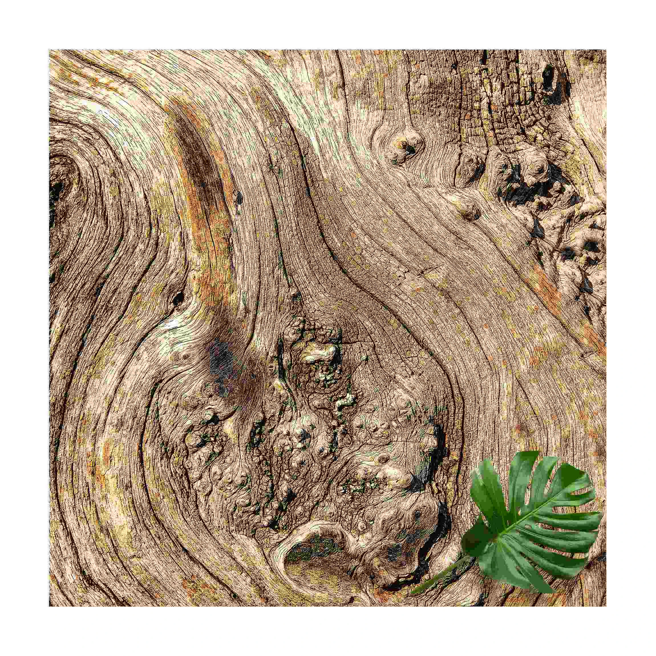 WallArt Vinyl-Teppich - Alte Holzstruktur In Braun