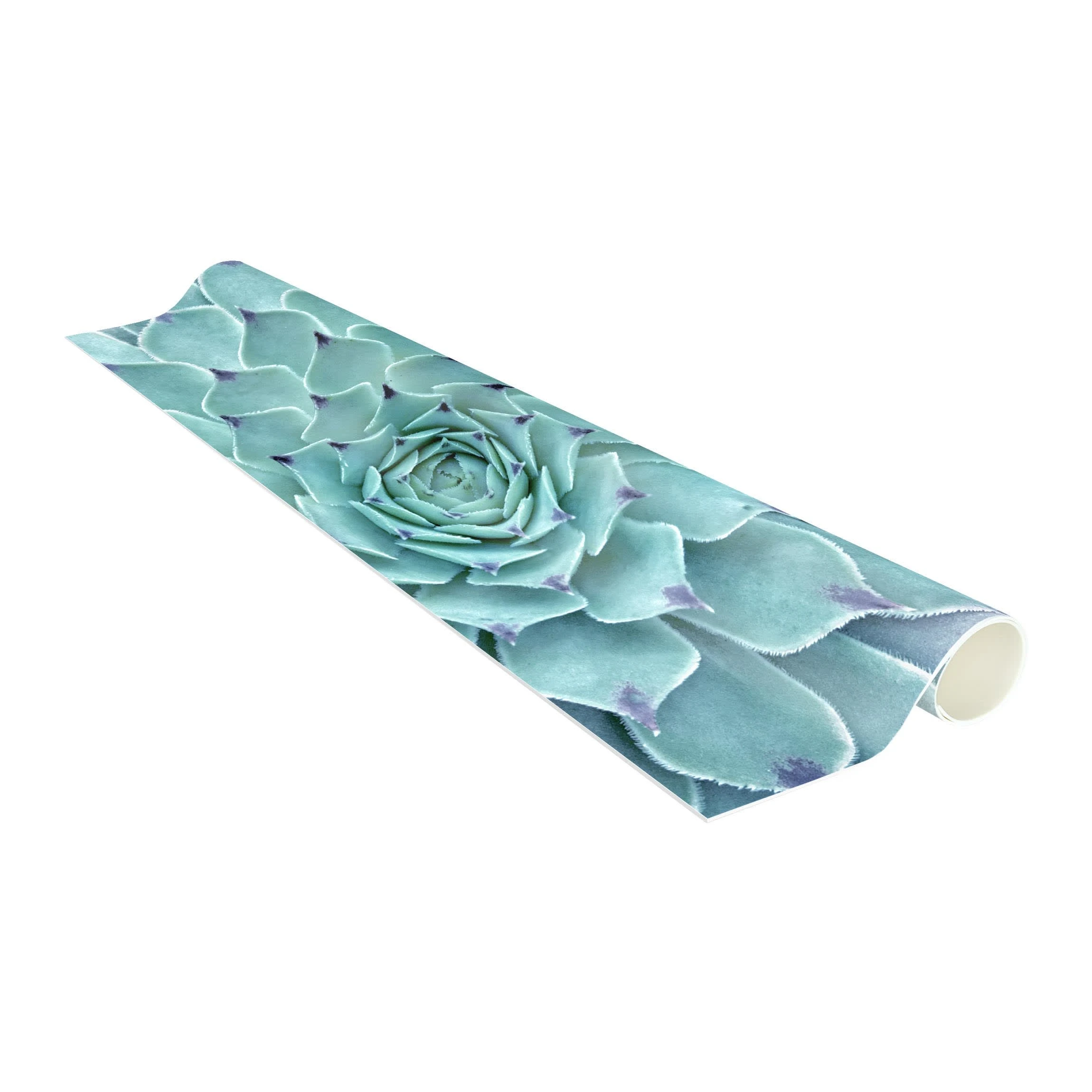 WallArt Vinyl-Teppich - Kaktus Agave In Türkis – Bild 6